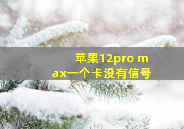 苹果12pro max一个卡没有信号